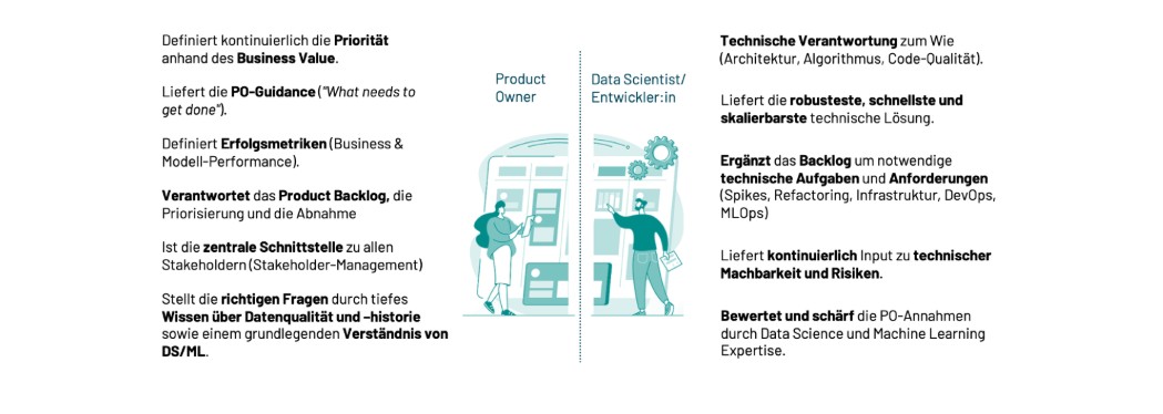 DPO und Entwickler:in